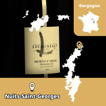 Domaine Lécheneaut, Nuits‑Saint‑Georges