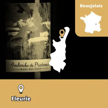 Banner Mobile Domaine Marc Delienne Fleurie