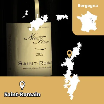 Nicolas Fèvre Saint-Romain Pinot Noir Chardonnay vini naturali