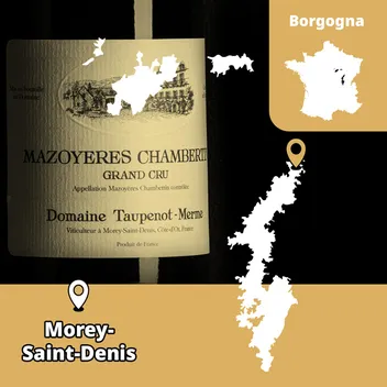 Champagne Ulysse Collin