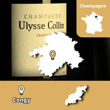 Champagne Ulysse Collin