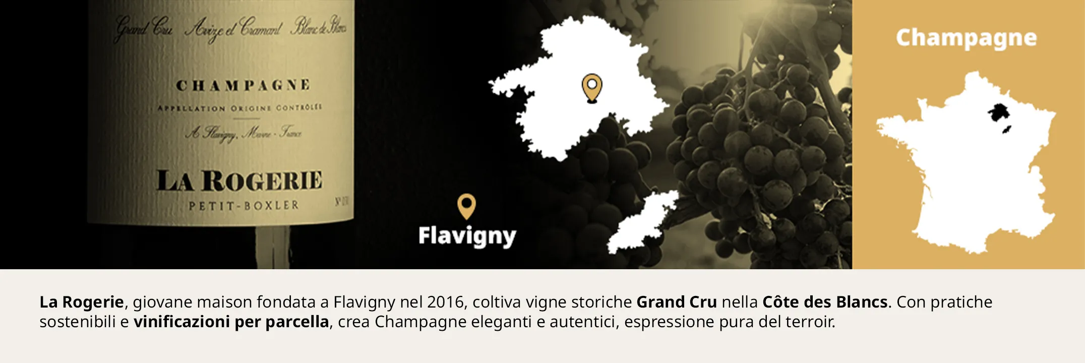 La Rogerie Champagne Flavigny banner desktop - Bwineshop