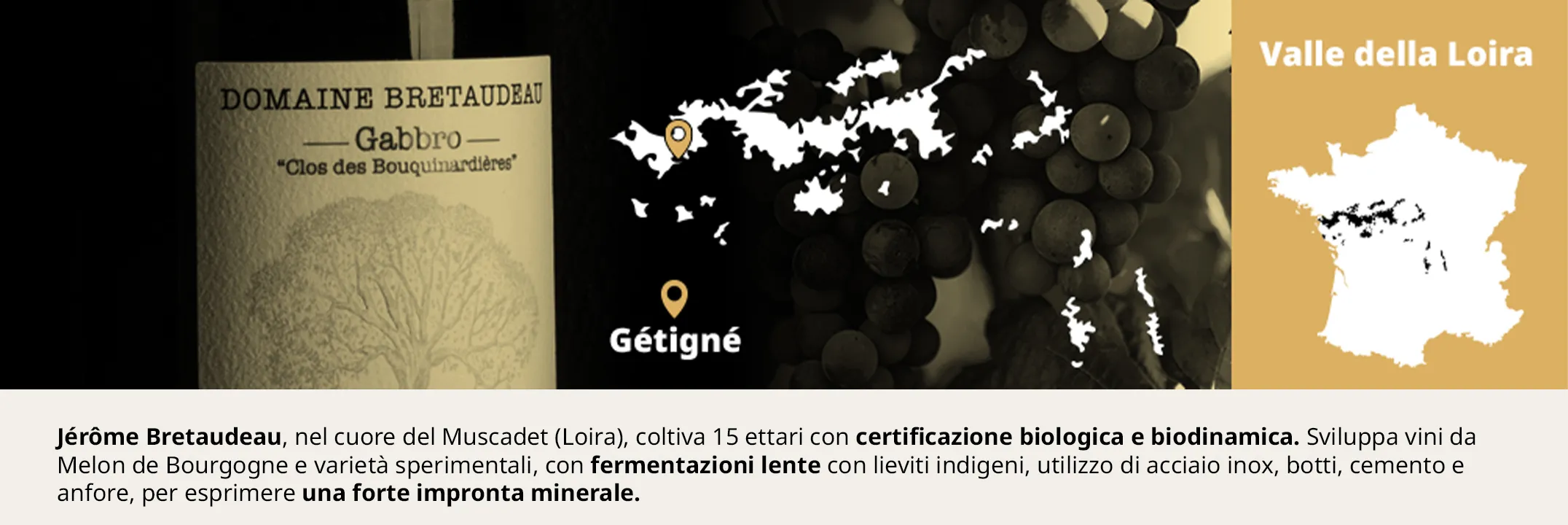 Jérôme Bretaudeau vignaiolo della Loira banner desktop - Bwineshop