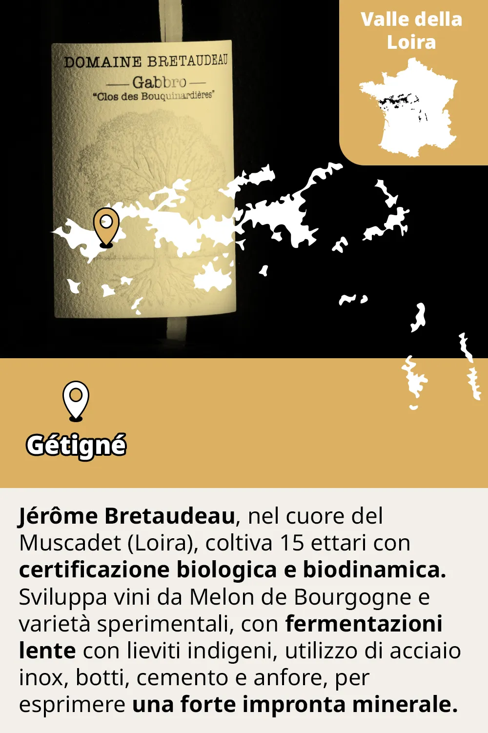 Jérôme Bretaudeau vini della Loira banner mobile - Bwineshop