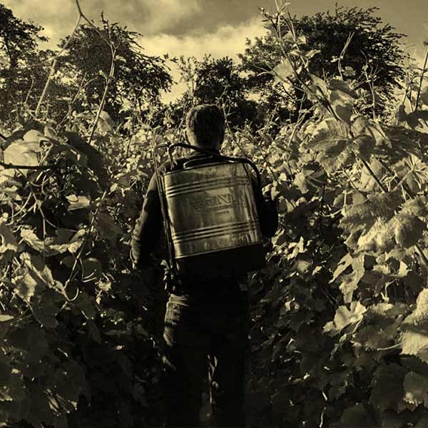 Domaine Nowack