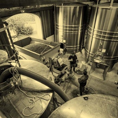 Domaine Grand Mayne