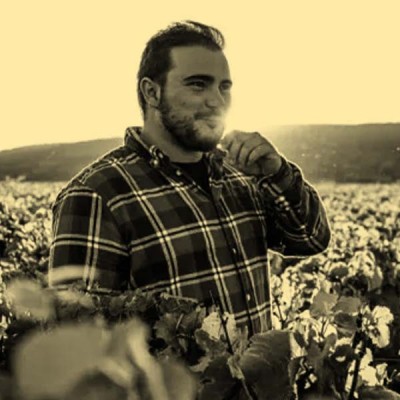 Domaine Simon Colin