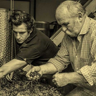Domaine Violot-Guillemard