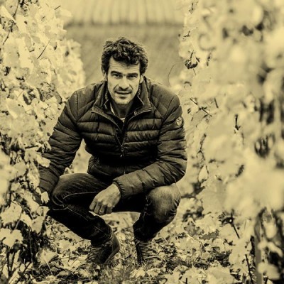 Nicolas Maillart
