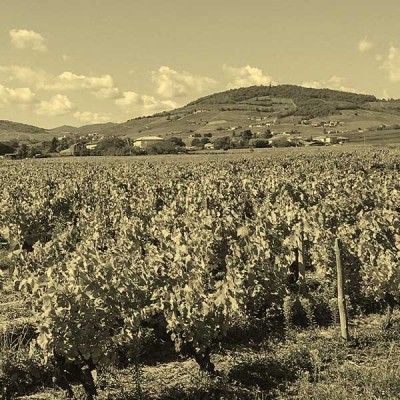 Domaine Les Hauts de Vuril