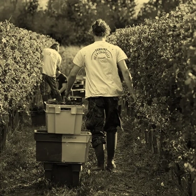 Domaine de la Chapelle