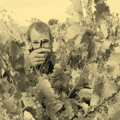 Vigneron du Muscat de Lunel