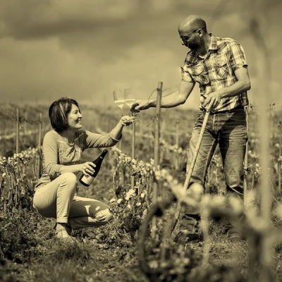 Millemann Wines