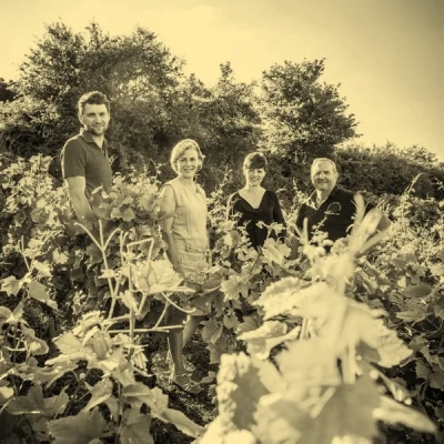 DOMAINE DROUHIN LAROZE