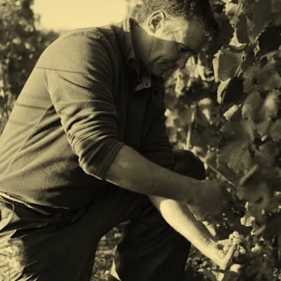 DOMAINE BRUNO CLAVELIER